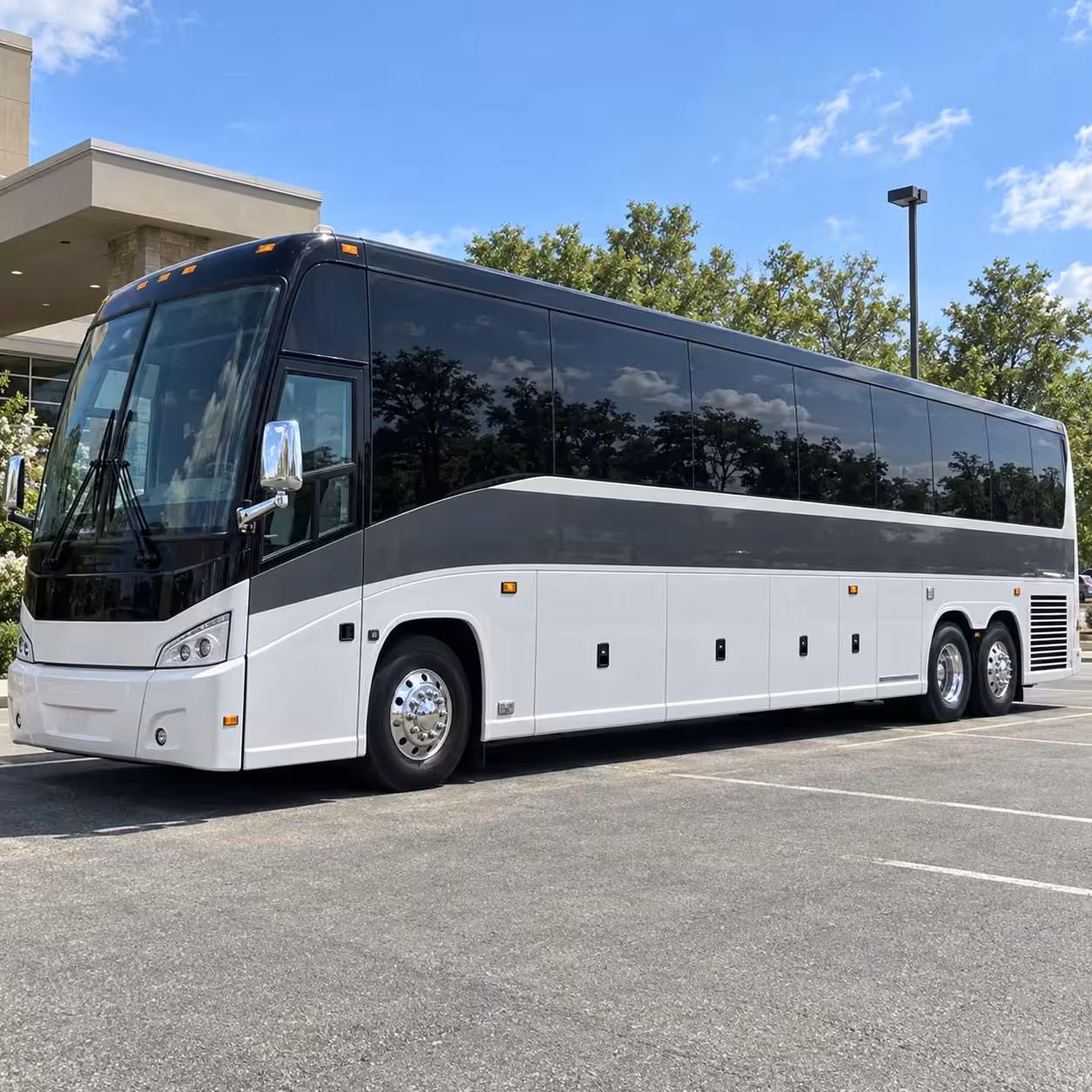 56 passenger charter bus
